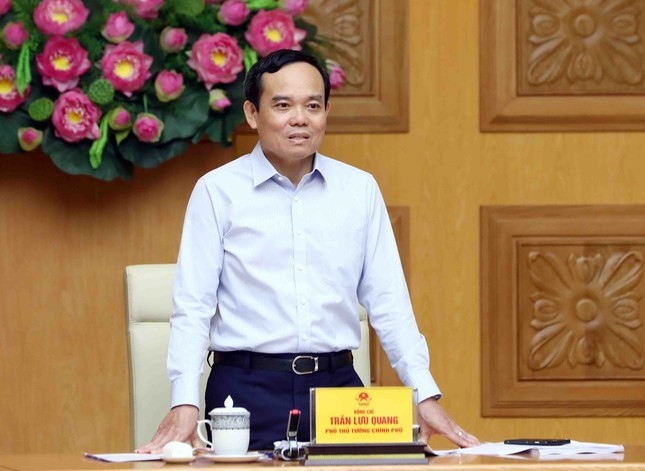 Ông Trần Lưu Quang làm Tổ trưởng Tổ công tác cải cách thủ tục hành chính